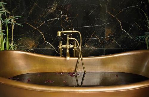 Hotel Bohemia - image 9