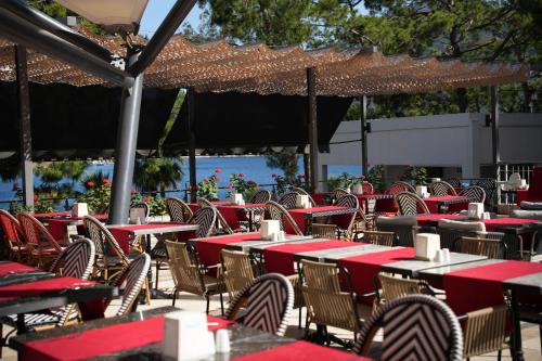 Orka Lotus Beach - image 11