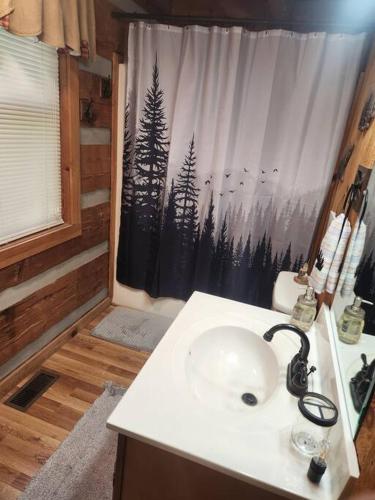 MoonPie Hideaway, Sevierville (zdjęcie 6)