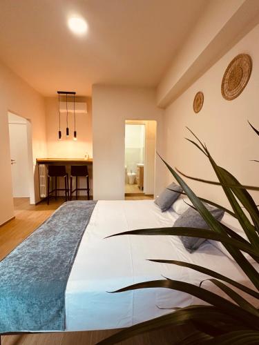 Rapallo Home, Rapallo