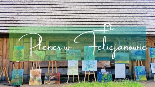 Gniazdo w Felicjanowie