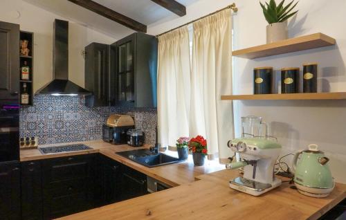 virtuve, Luxurious Home In Cista Velika in Velika Cista
