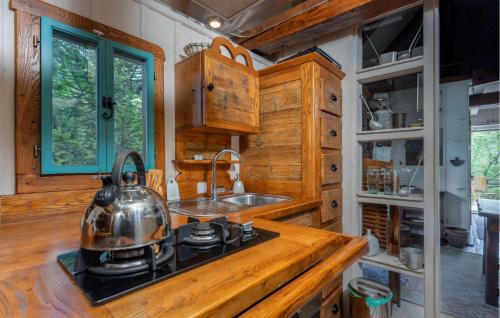廚房, 2 Bedroom Amazing Home In Delnice in 代爾尼采