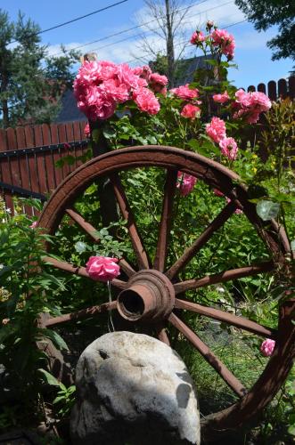 Apartament Bioło Izba Apartament Bioło Izba