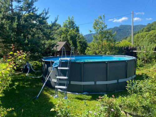 Oselia Lada in 格雷賓尼夫村