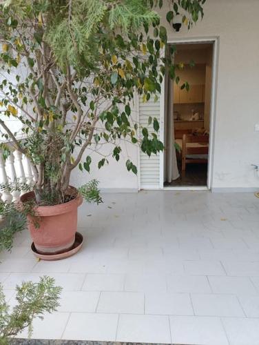 정원, Astros Apartments in 파랄리온 아스트로스