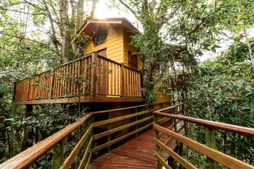 Tominejo Ecolodge - Casas en los árboles