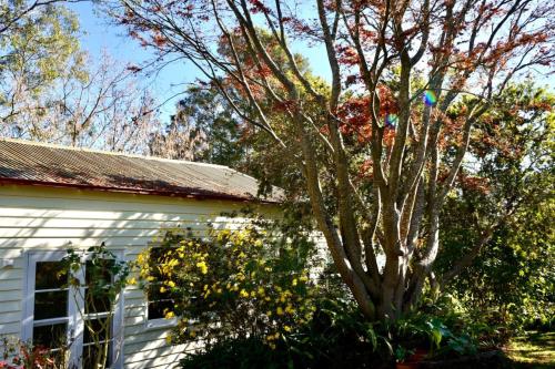 River Lea Cottage in Badger Creek