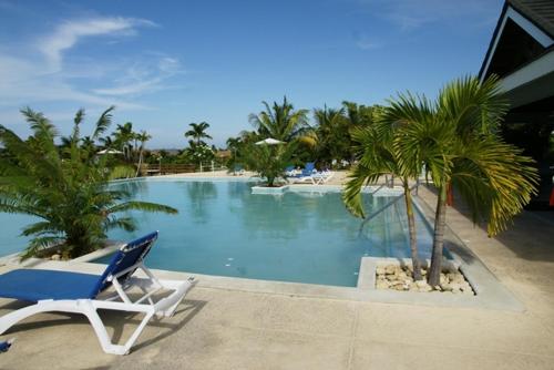 泳池, Jamnick Vacation Rentals - Fern Court, Richmond Estate, St Ann, Jamaica in 植物村