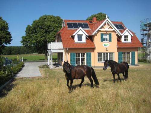 A szálláshely kívülről, Fewo Düsterbarg (Fewo Dusterbarg) in Wittenbeck