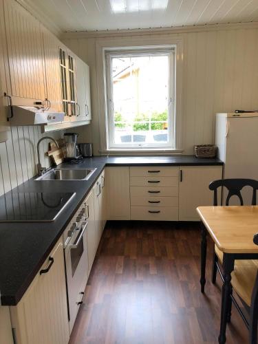 Appartment in Kragero centrum Summer city nr 1 in Norway, Kragero (fotografie 10)