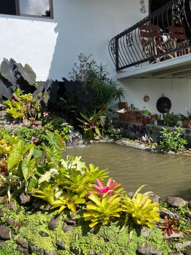 Dārzs, Bromelia House in San Gerardo