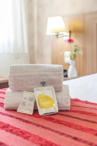 Brit Hotel Confort Castres - image 9