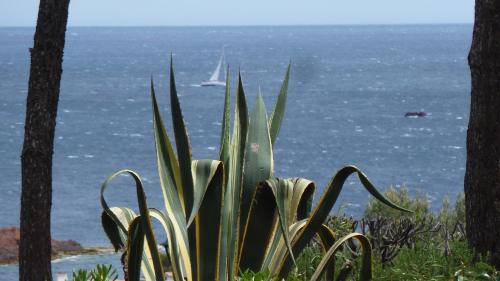 Bastidon Vue Mer in La Baumette