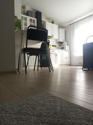 Apartment in Bozdosh estate, Użhorod (zdjęcie 8)
