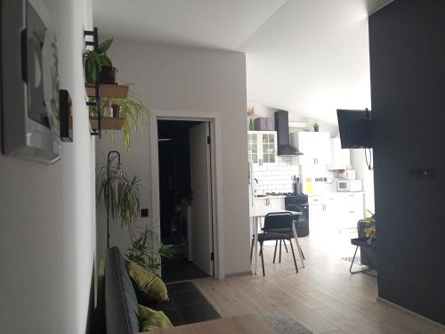 Apartment in Bozdosh estate, Użhorod (zdjęcie 5)