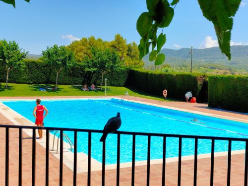 Swimming pool, Les Voltes II - 3BD gem in hilltop wine village with amazing views in Pira