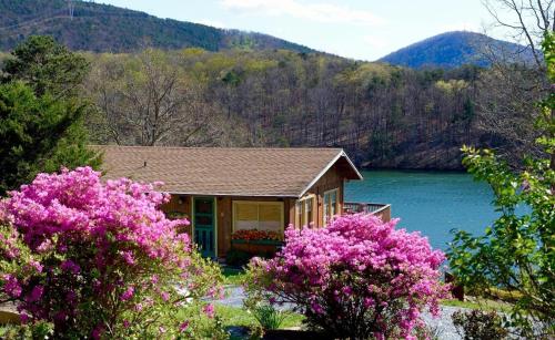 Cute And Comfy Cabin in Huddleston, USA
