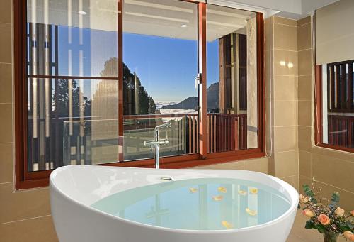 Alishan Hotel in أليشان تاونشيب