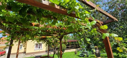 La mama Miha in Agigea