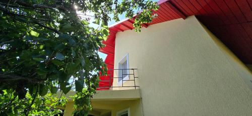 La mama Miha in Agigea