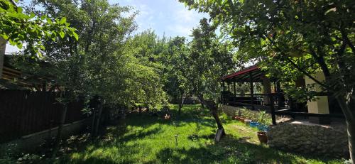 La mama Miha in Agigea