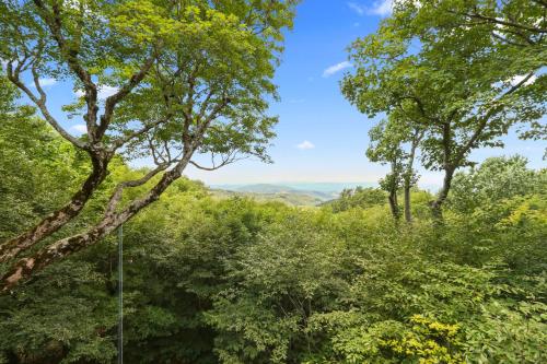 1041 Charter Hills Rd by Carolina Stays in Beech Mountain, USA
