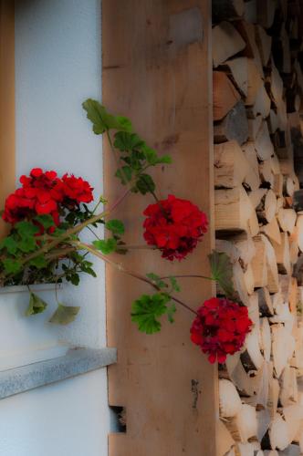 Hike & Bike Chalet, Бохинь (фото 7)