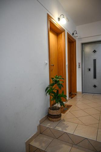 A szálláshely kívülről, Dimitra House At Aigio By Greece Apartments in Aigio (Pelopponese)