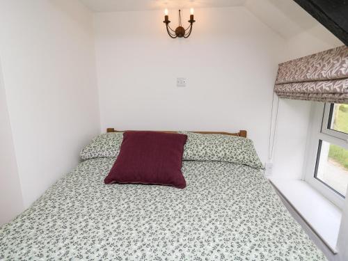 Plynlimon View Plynlimon View