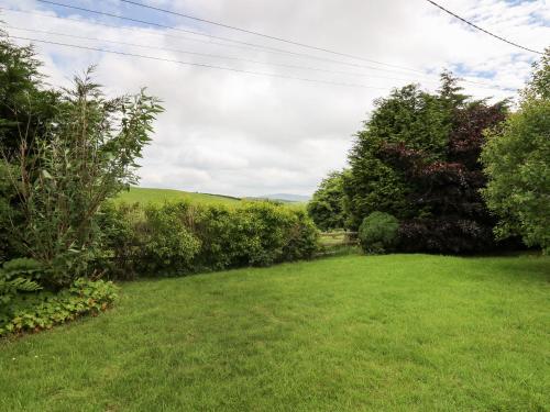 Plynlimon View Plynlimon View