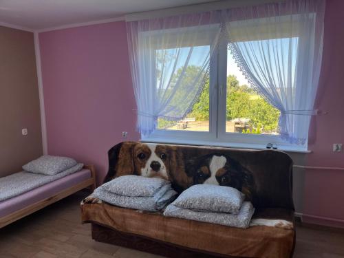 Pokoje Goscinne JAK W DOMU Hanna Kucharska in Katy Rybackie