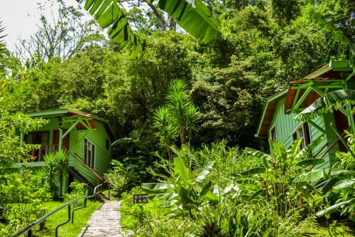 Jaguarundi Lodge - Monteverde
