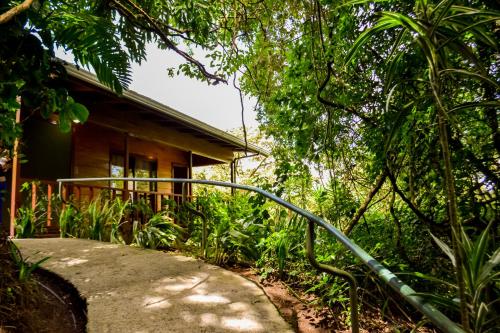 Alentours, Jaguarundi Jungle Lodge - Monteverde in Monteverde