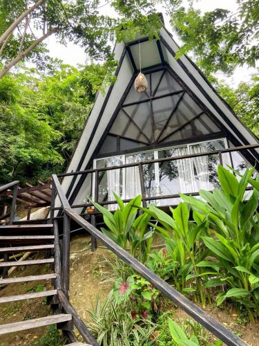 Навколишнє середовище, Lodge Cacao in Калабазо