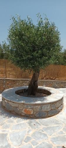 Vitilo sweet home Vitilo sweet home