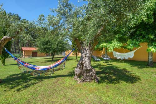 Alrededores, Apartamento T1 Charme, condomínio perto de Pombal (Apartamento T1 Charme, condominio perto de Pombal) in Pombal