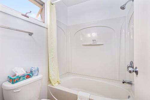 Ludington Pier House