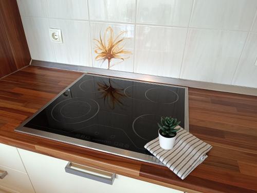 Apartments Antonia - image 12
