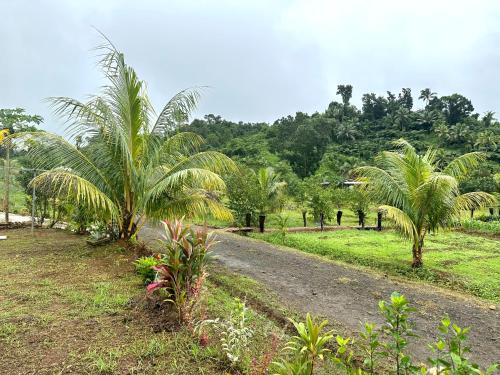 Furnished Modern Farm Flat Tuvurara Savusavu Jasmeeruls Bayt in Dreketi