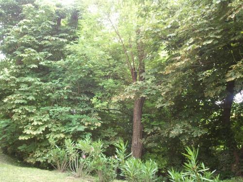 Hotel Bel Alp Manosque - image 6