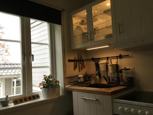 Studio apartment centrally located in هوديكسفال