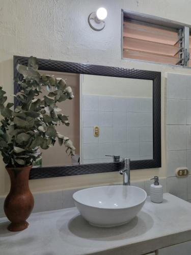 Mazaryk Bed and Breakfast, Antigua Guatemala (zdjęcie 7)