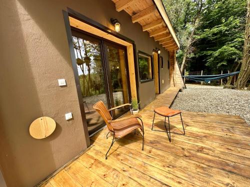 Living Forest Resort in Moravske Toplice