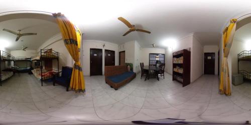 Japanese lodge hydrangea in Dhaka