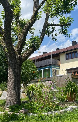 . Ferienwohnung Altes Zollhaus