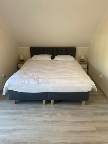 Biebrzańska Przystań 5 (Biebrzanska Przystan 5) in Goniadz