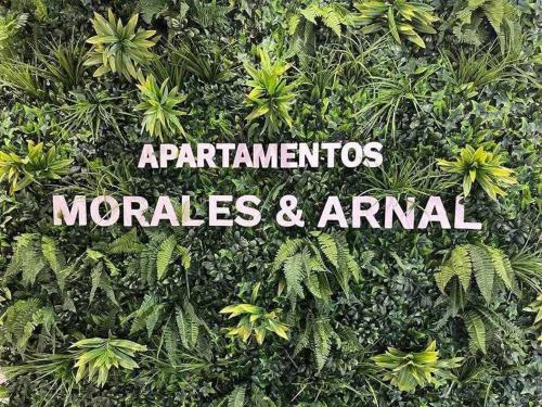 XIX C Apartamentos Morales & Arnal, Ronda (photo 4)