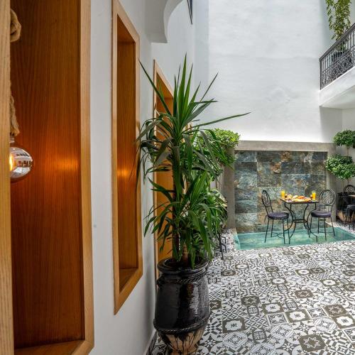 MAISON SOLANEOS - image 6