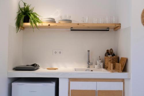 Argo-studios, Kinion (photo 3)